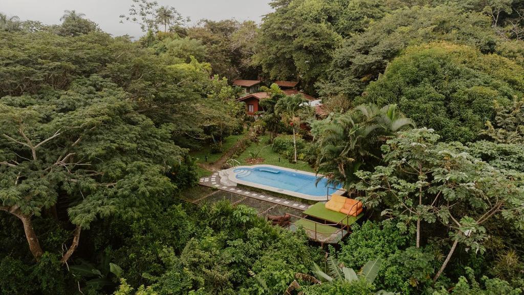 Lodge Mirador - Great Swimming Pool - Kitchen - Bbq - Netflix Tajo Alto Zewnętrze zdjęcie