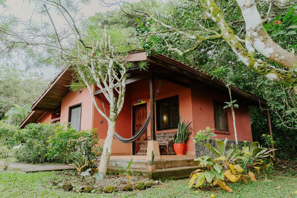 Lodge Mirador - Great Swimming Pool - Kitchen - Bbq - Netflix Tajo Alto Zewnętrze zdjęcie