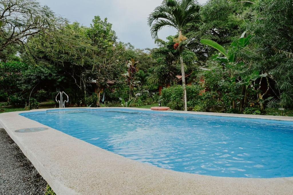 Lodge Mirador - Great Swimming Pool - Kitchen - Bbq - Netflix Tajo Alto Zewnętrze zdjęcie