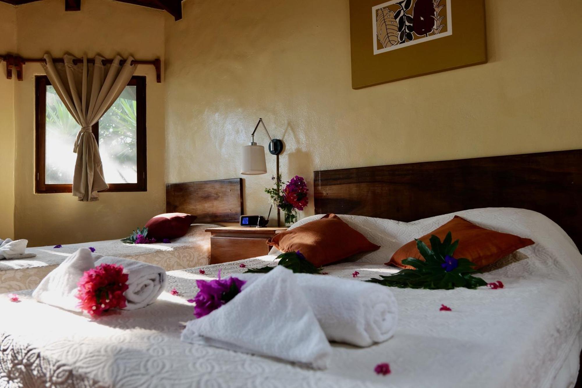 Lodge Mirador - Great Swimming Pool - Kitchen - Bbq - Netflix Tajo Alto Zewnętrze zdjęcie